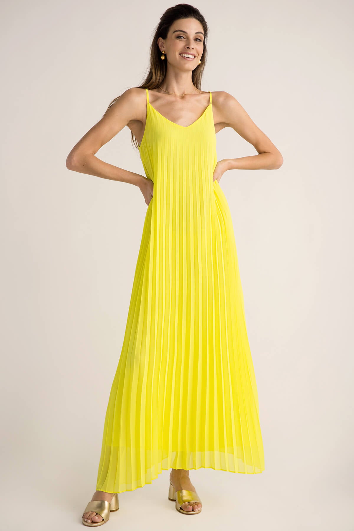 Skies Are Blue Pleated Maxi Dress Social Threads