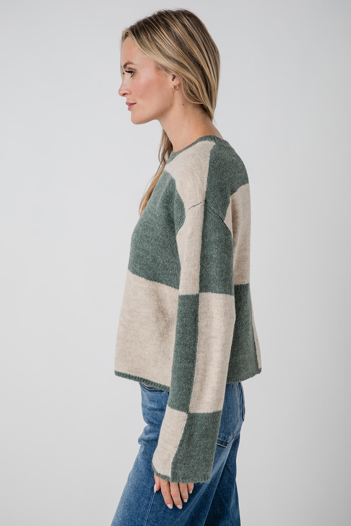 Z Supply Rosi Blocked Sweater